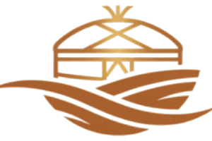 Namon logo